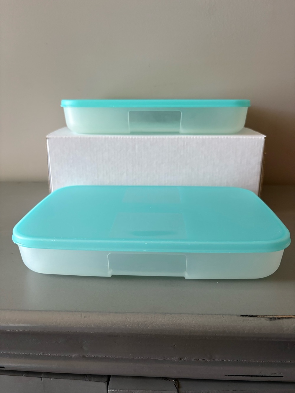 Tupperware Freezer Mates Set of 2 Rectangular Storage Containers Teal Aqua